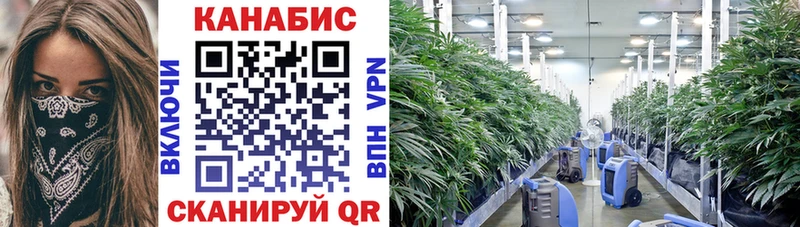 Купить закладку ГАШИШ  Героин  МЕФ  Каннабис  Жердевка