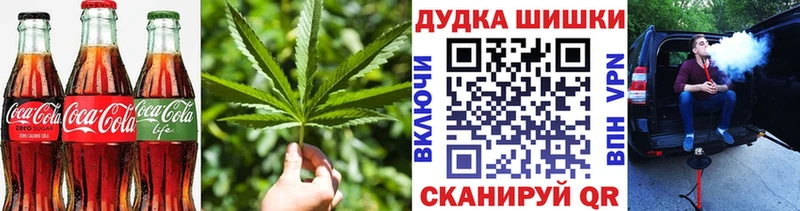 Купить закладки  Жердевка  Cannafood марихуана 