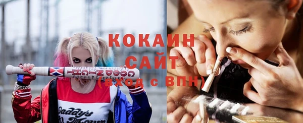 хмурый Кодинск
