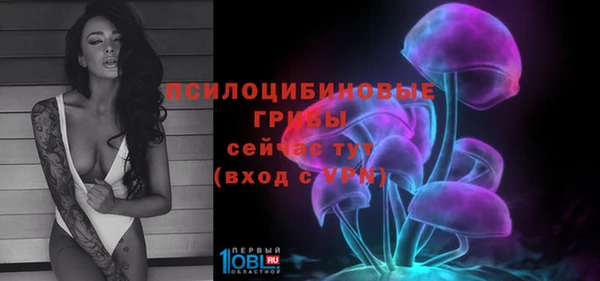 прущие крисы Козельск