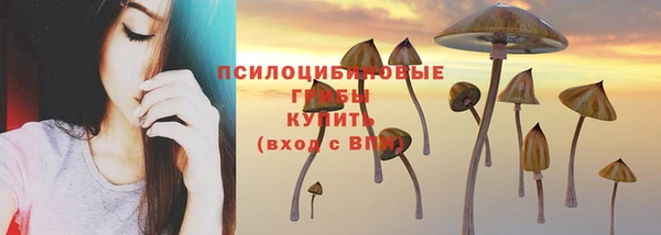 хмурый Кодинск