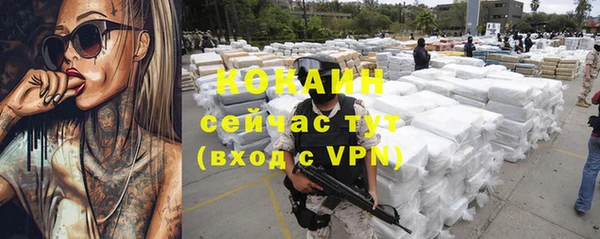 соль курить ск Козловка