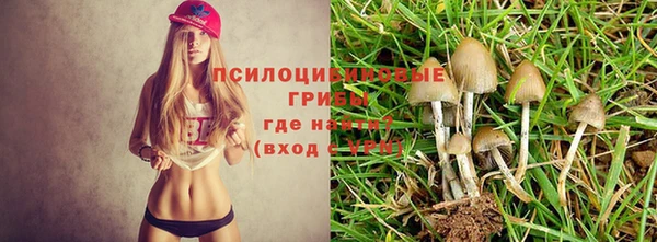 прущие крисы Козельск